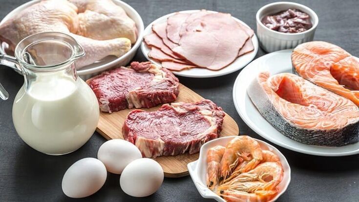 Protein diyeti için izin verilen gıdalar